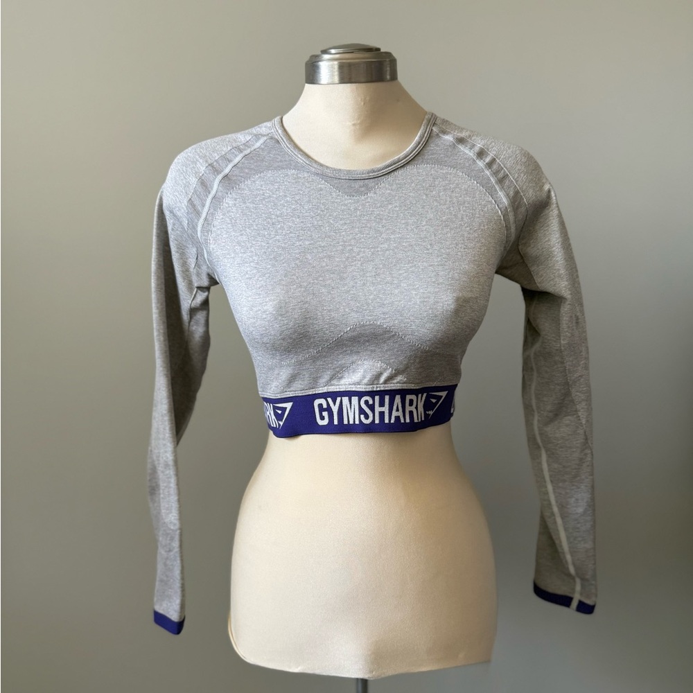 Gymshark Gray and Blue Long Sleeve Crop Top